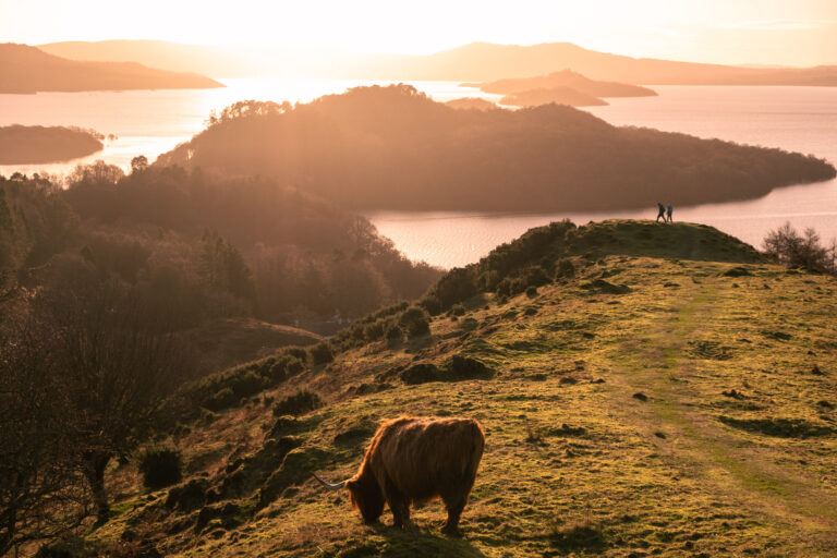 Celebrate Burns Night in the Loch Lomand National Park