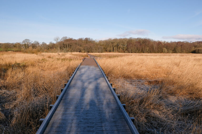 RSPB Nature Walk, Gartocharn to Loch Lomond